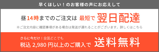 金子綾×ocean pacific×OSHMAN'S】 レディース 水着セットアップ